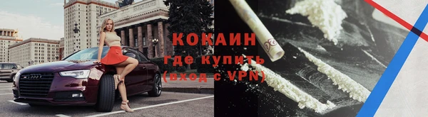 хмурый Алзамай