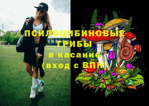 хмурый Алзамай