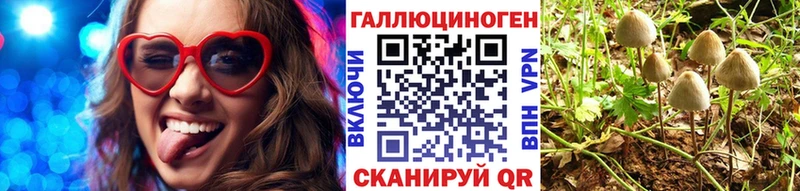 закладка  Аргун  Галлюциногенные грибы MAGIC MUSHROOMS 