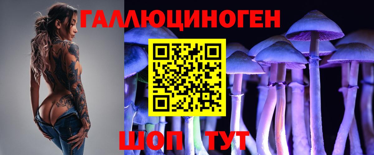 Аргун  Галлюциногенные грибы мухоморы  Вход с VPN  Галлюциногенные грибы Psilocybe 